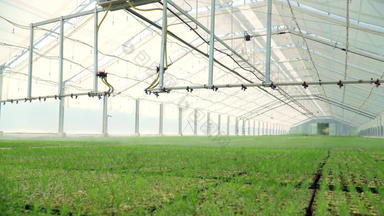 浇水设备工作灌溉植物现代玻璃温室